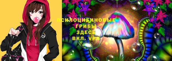 метадон Аркадак